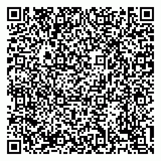 vCard 79138303274