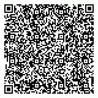 vCard 79138303275