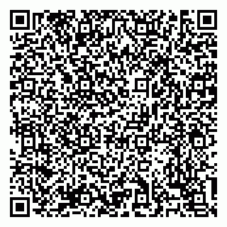 vCard 79138303276