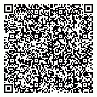 vCard 79138303278