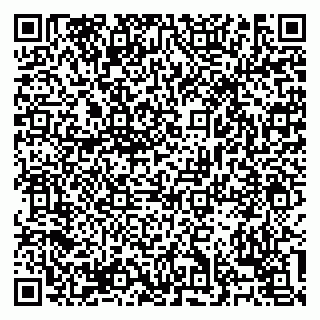 vCard 79138303281