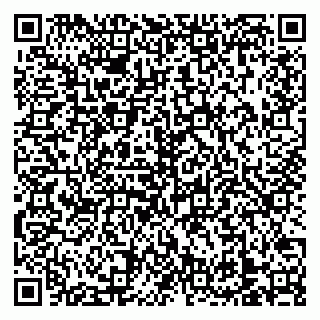 vCard 79138303282