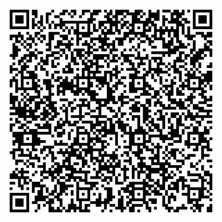 vCard 79138303283