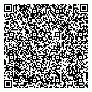 vCard 79138303284