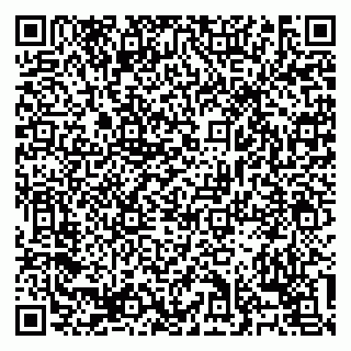 vCard 79138303285