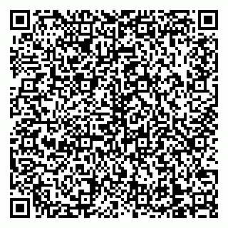 vCard 79138303287