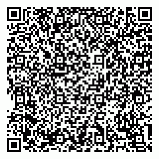 vCard 79138303291
