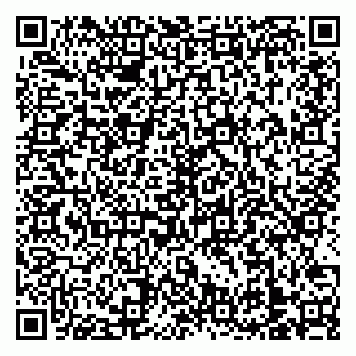vCard 79138303294