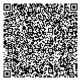 vCard 79138303295
