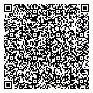 vCard 79138303296