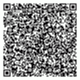 vCard 79138303297