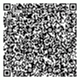 vCard 79138303299