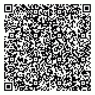 vCard 79138303301