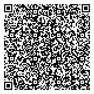vCard 79138303302