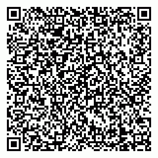 vCard 79138303303