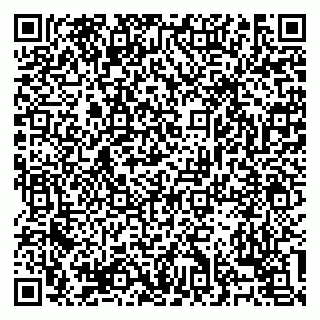 vCard 79138303304