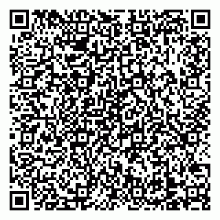 vCard 79138303305