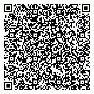 vCard 79138303306