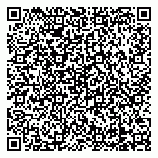 vCard 79138303307