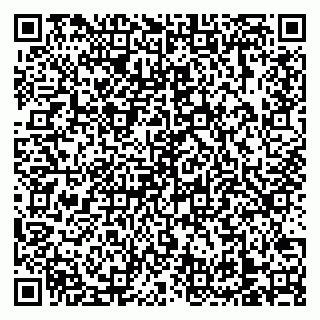vCard 79138303308