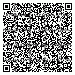 vCard 79138303310