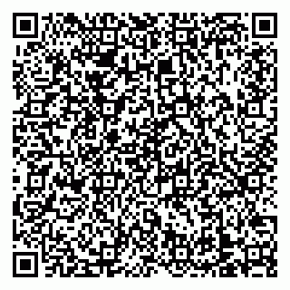 vCard 79138303311