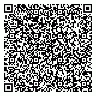 vCard 79138303312