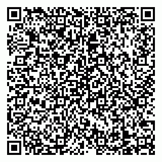 vCard 79138303313