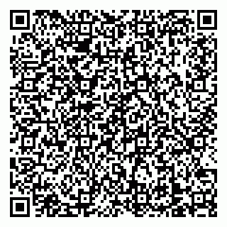 vCard 79138303314
