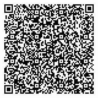 vCard 79138303315