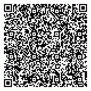 vCard 79138303316