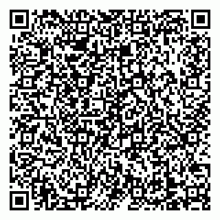 vCard 79138303317