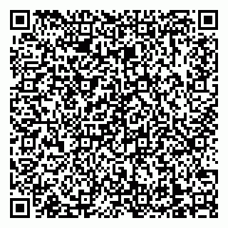 vCard 79138303319
