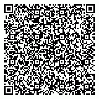 vCard 79138303320