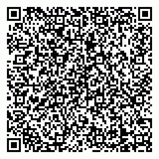 vCard 79138303321