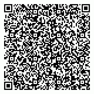 vCard 79138303323