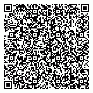 vCard 79138303325