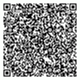 vCard 79138303326