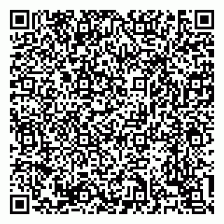 vCard 79138303327