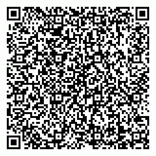 vCard 79138303329