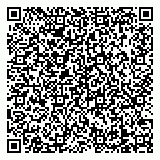 vCard 79138303330