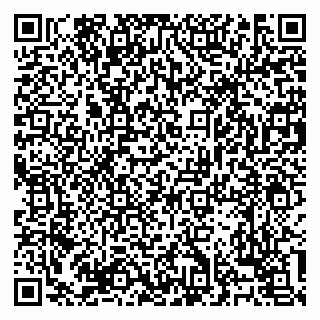 vCard 79138303331