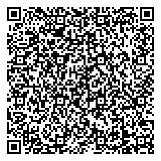 vCard 79138303333