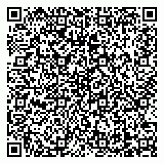 vCard 79138303334