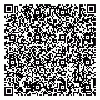 vCard 79138303335
