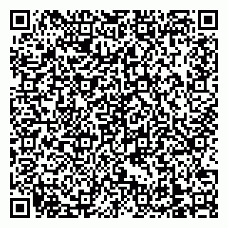 vCard 79138303336