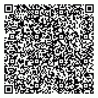 vCard 79138303337