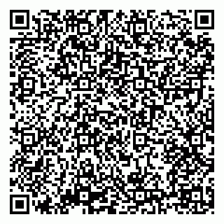 vCard 79138303338