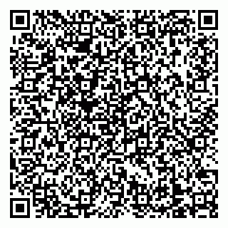 vCard 79138303340