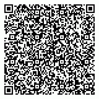 vCard 79138303341